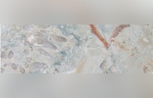 Coral Reef Blue