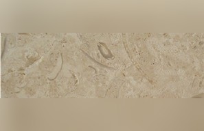 Coralina Shellstone