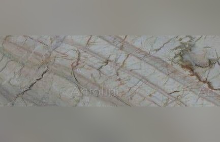Corteccia