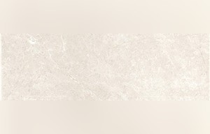 Cosmos Beige