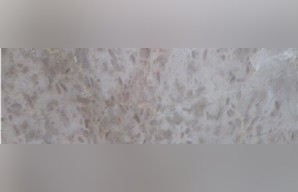 Cream Arroza