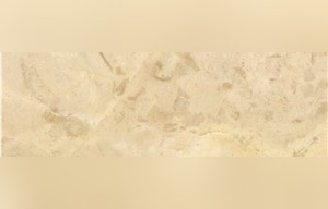 Creamsa Fossil