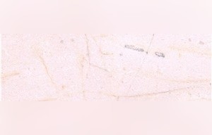 Crema Marfil San Cristobal