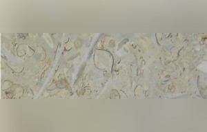 Crema Marinos Coral Stone