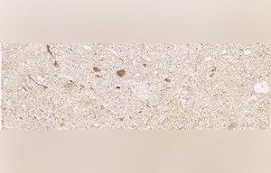 Dali Stone
