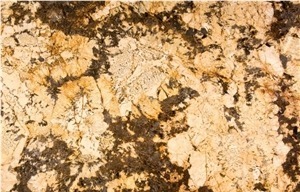 Delicatus Brown Granite