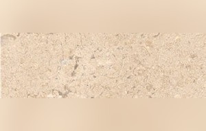 Desert Rose Beige