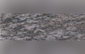 Dorato Valmalenco Gneiss