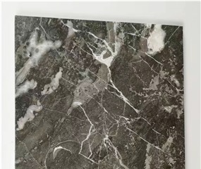 Elegant Gray Marble