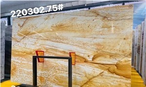 Evora Gold Quartzite