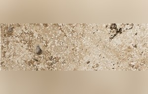 Exclusive Beige Travertine