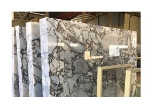 Exotic Veins Marble