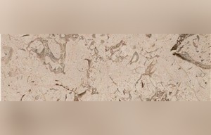Fossil Beige