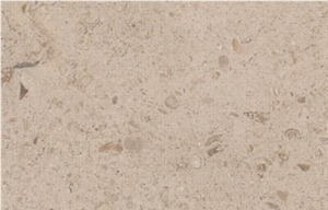 Fossil Grey Limestone