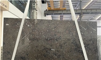 Fossil Marble