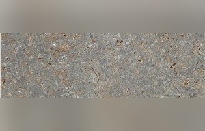 Fossil Melange Muschelkalk