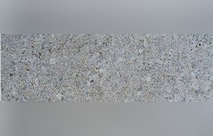 Fossil Smoke Muschelkalk
