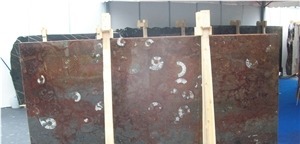 Gran Fossil Marble