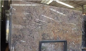 Gran Fossil Marble