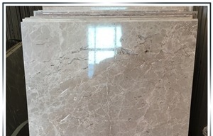 Gray Emperedor