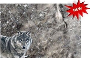Grey Wolf Marble