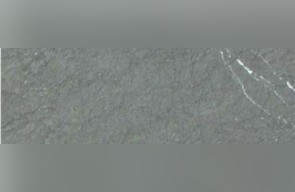 Gris Paloma