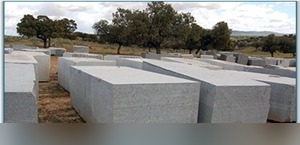 Gris Quintana Granite