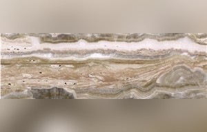 Honey Traonyx