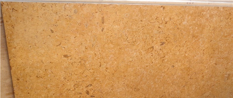 Jaisalmer Fossil Limestone