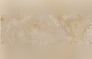 Jerusalem Gold A55 Shell