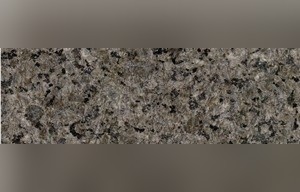 Leopard Skin