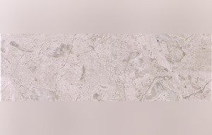 Limpet Beige