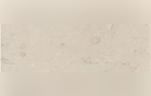 Marsyas Light Cream