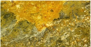 Mesta Green Travertine