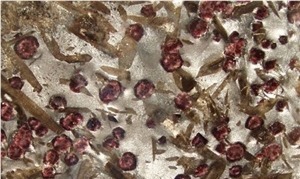 Meteorus Granite