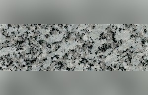 Mongolian White