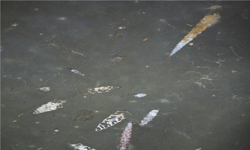 Nerinea Marble