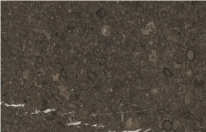 New Perla Limestone