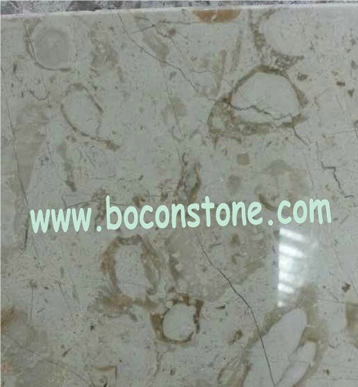 Novita Beige Marble