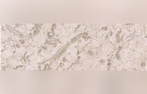 Nuova Beige