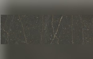 Olive Marone Dark