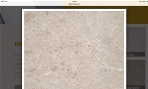 Oman Elegant Grey Marble