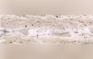Oniciato Bianco