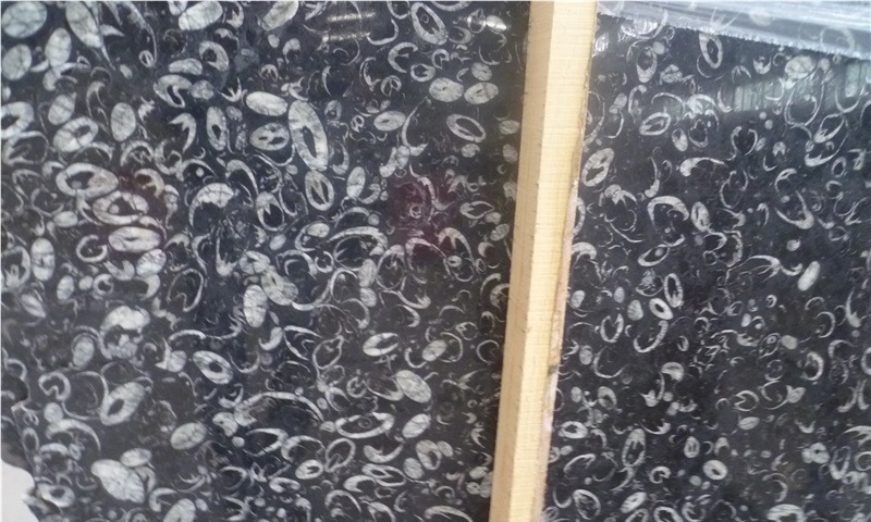 Peacock Eye Marble
