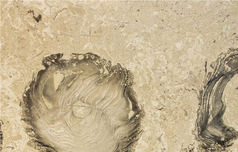 Perla Bello Marble