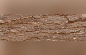 Persian Walnut Travertine