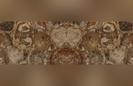 Petrified Wood Brown
