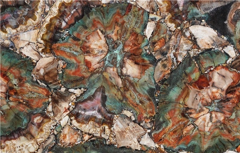 Petrified Wood Green Semiprecious Stone