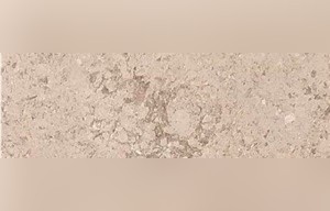 Pewter Mist Light