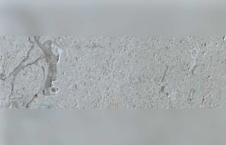 Piedra Blanco Juneda